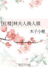 [Red Chamber] Mrs. Lin replaced her